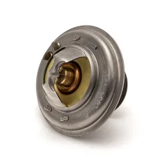 Caterpillar Su Sıcaklık Düzenlemesi — açılı görünüm