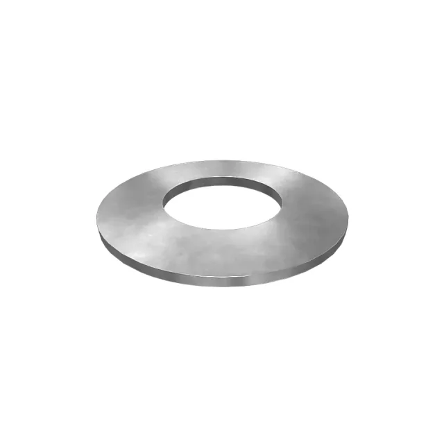 2.5mm Thick Spring Washer