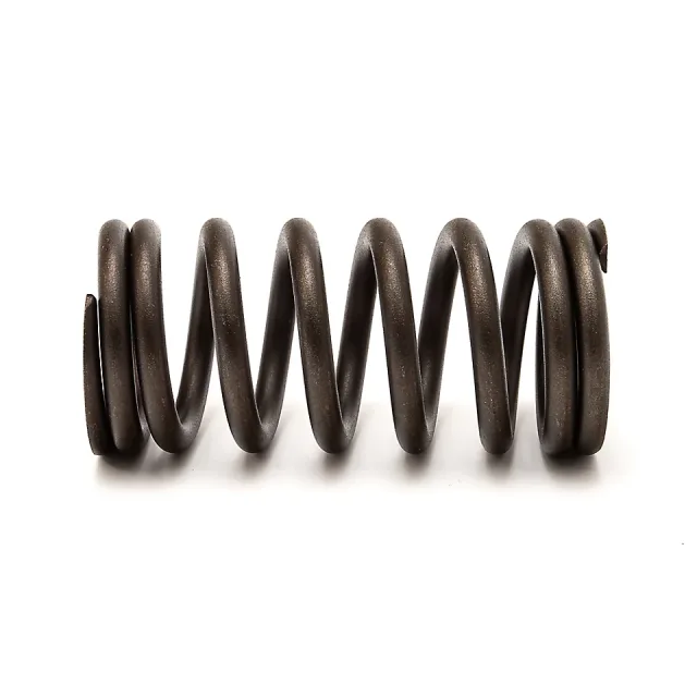 4.80mm Wire Çapı Dış Kapak Bahar Bahar