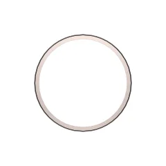 Caterpillar 4.5mmKan ⁇ Eğlenme Elbow Gasket — açılı görünüm