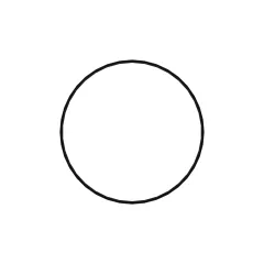 Caterpillar 257.65mm Internal Diameter DICHTUNG RING — Dreiviertelansicht