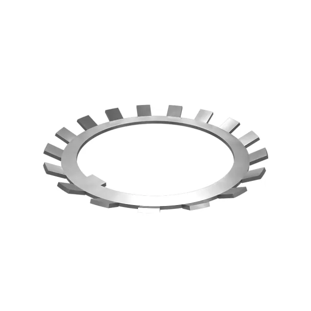 Bearing Lockwasher