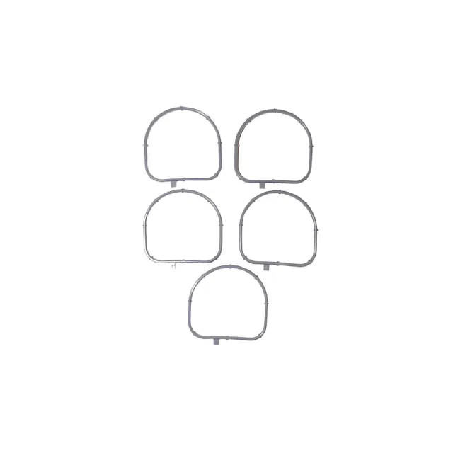 Water Regulator Gasket