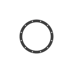 Caterpillar 1.59mm Thick Round Gasket — açılı görünüm