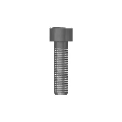 Caterpillar M8-1.25 x 30mm Innensechskantschraube — Dreiviertelansicht