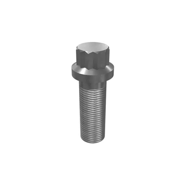 M16-2 x 45mm 12-Point Head Bolt