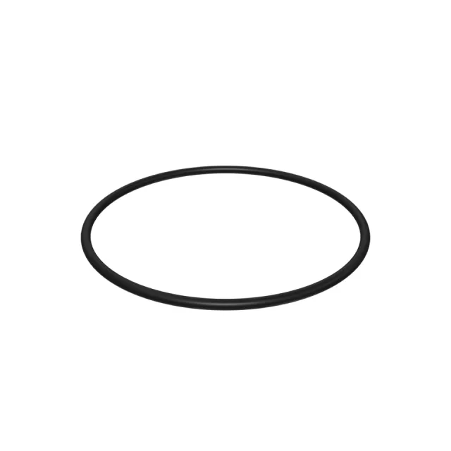 202.56mm Inside Diameter Seal-O-Ring
