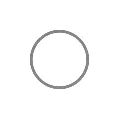 Caterpillar 50.80mm Dış Çapı Metal Seal Ring — açılı görünüm