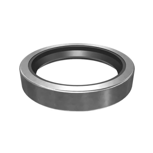 53.98mm Internal Diameter Lip Type DICHTUNG