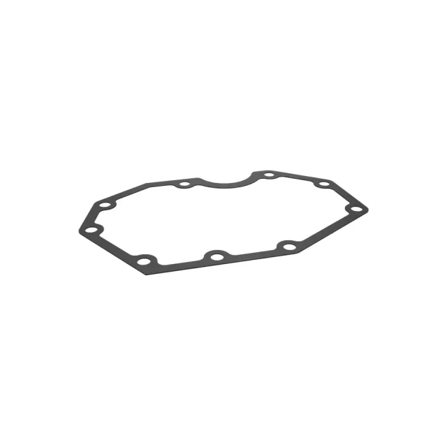 Petrol Filtre Konutu Kapak Gasket
