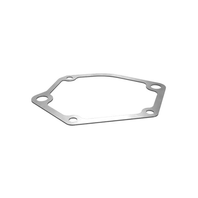 1.57mmSa Water Pump Gasket