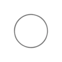 Caterpillar 0.123" Thick External Seal Ring — three-quarter view
