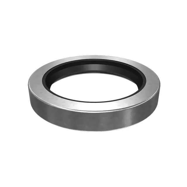 57.15mm İç Sayfa Lip Type Seal
