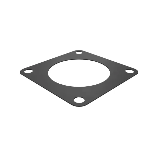0.8mmSa Water Pump Gasket