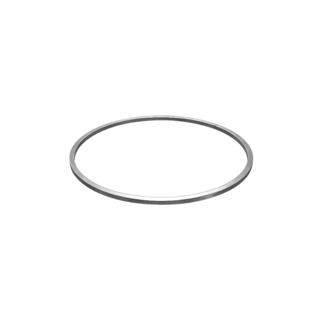 266.60mm Outer Diameter DICHTUNG RING
