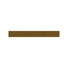 Caterpillar 8mm Thick Montage Plate — vue de trois quarts