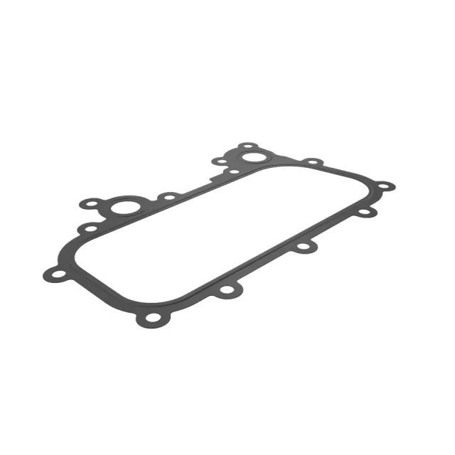 Engine Oil Cooler Gasket
