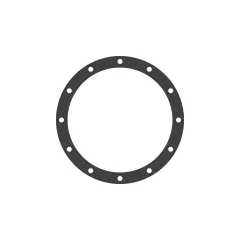 Caterpillar Turbocharger Gasket — açılı görünüm