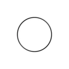 Caterpillar 89mm Internal Diameter DICHTUNG O-RING — Dreiviertelansicht