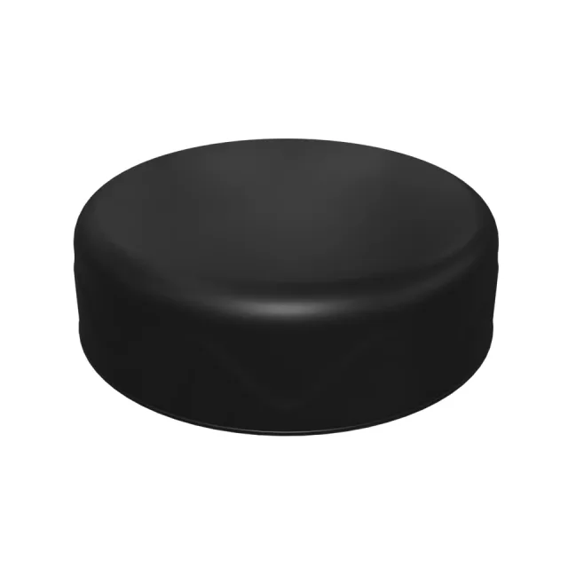 Rain Cap Precleaner