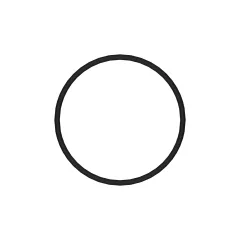 Caterpillar 2.62 x 61.6mm 75A FKM-O-Ring — Dreiviertelansicht