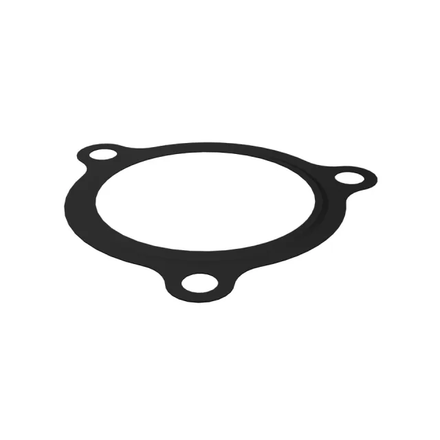 Exhaust Pipe Gasket