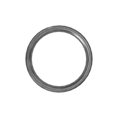 Caterpillar 99.5mm İç Çapı Wiper Seal — açılı görünüm