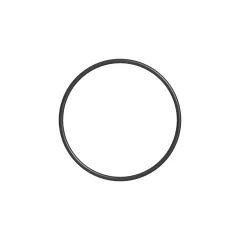 Caterpillar 139.07mm İç Parça Accumulator O-Ring Seal — açılı görünüm