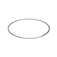 Caterpillar RING-BACKUP