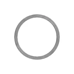 Caterpillar 151mm Rod Bölüm Buffer Seal — açılı görünüm