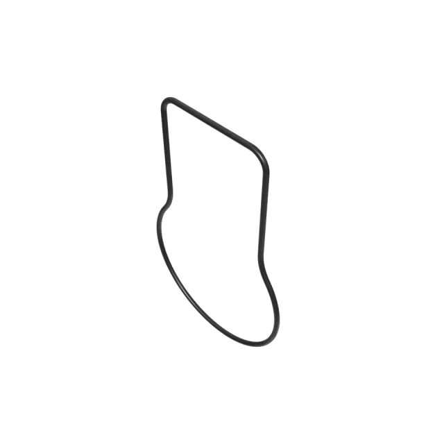 Governor Housing Gasket