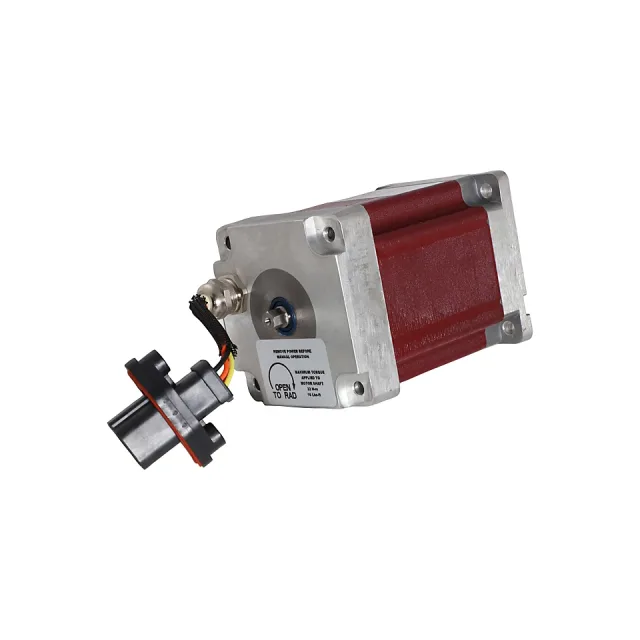 Electric Motor
