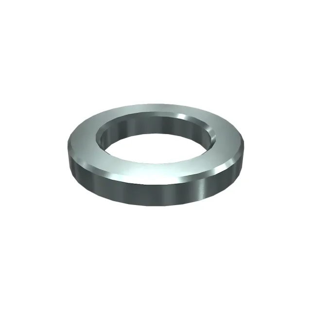 Support Roof Lockwasher