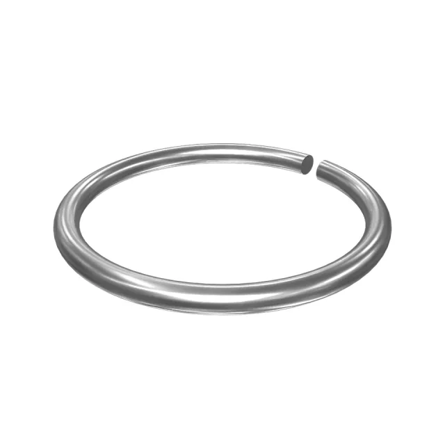 Governor Lock Ring