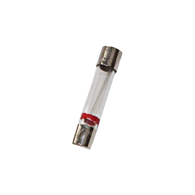 10 Ampere Fuse