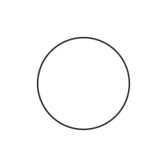 Caterpillar 261.06mm Inner Diameter External DICHTUNG RING — Dreiviertelansicht