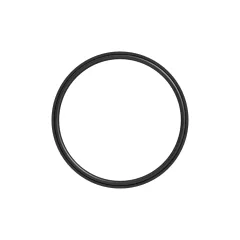 Caterpillar 124.3mm İç Parça O Ring Seal — açılı görünüm