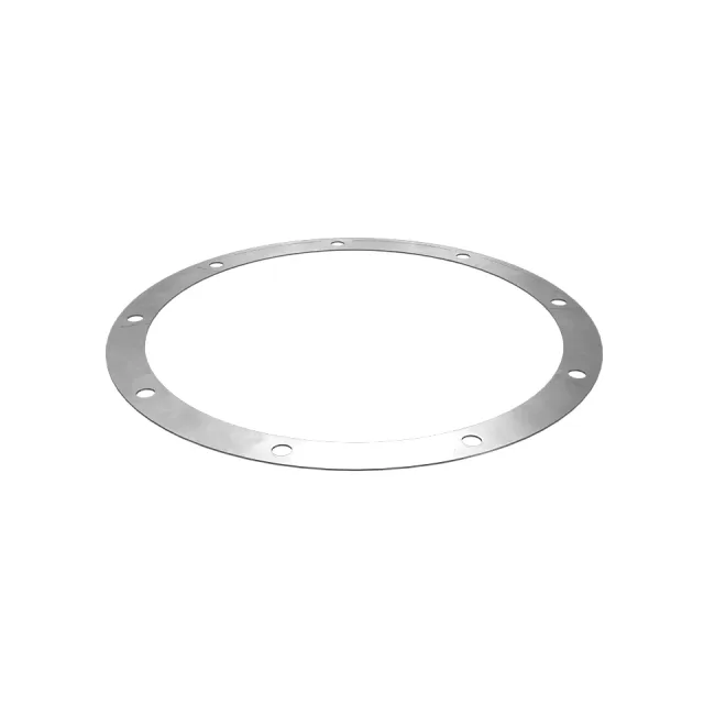Oil slinger gasket