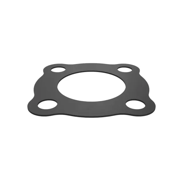 1.6mm Thick Flange Gasket