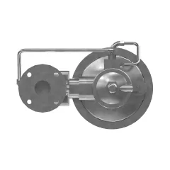 Caterpillar Gas Pressure Regulator — açılı görünüm