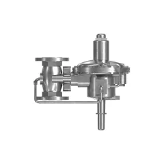 Caterpillar Gas Pressure Regulator — açılı görünüm
