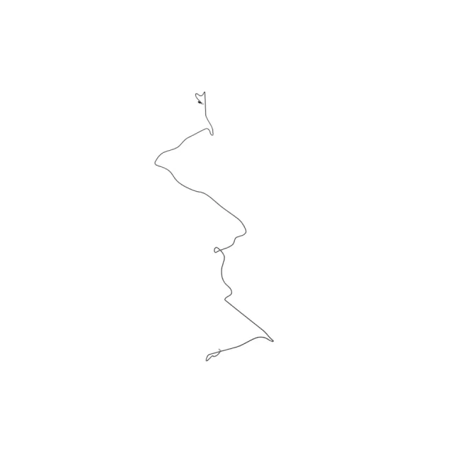 Jumper Wiring Harness