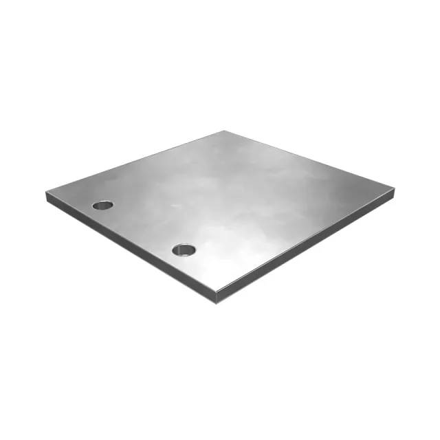 4.8mmSa Debris Guard Arka Kapı Gazket