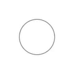 Caterpillar 268.1mm Inner Diameter Backup Ring — three-quarter view