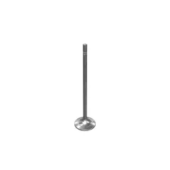 Caterpillar Engine Head Inlet Valve