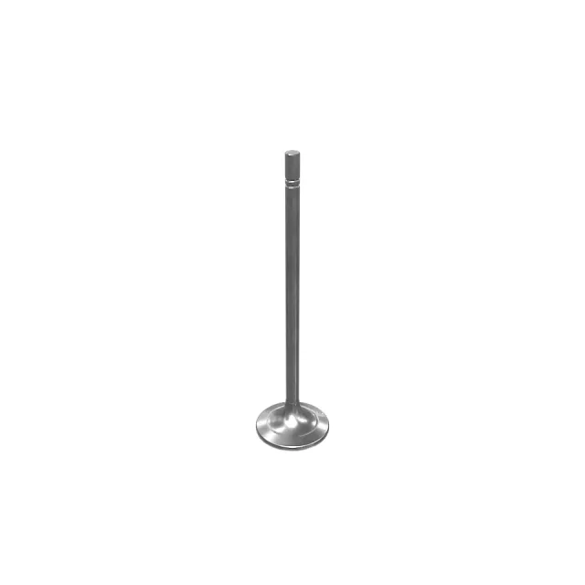 Engine Head Inlet Valve