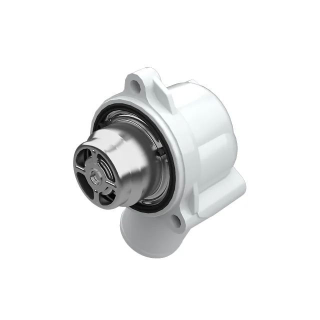 Water Pump Thermostat