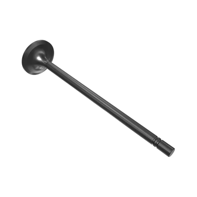 Engine Intake Valve