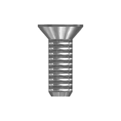 Caterpillar 1/4" Slotted Flat Head Vida — açılı görünüm