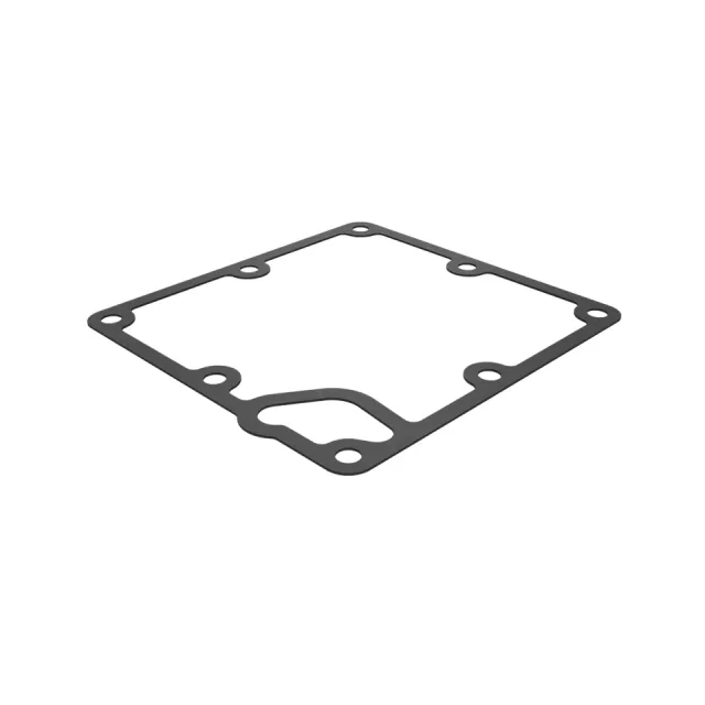 0.79mm Thick Cover Gasket